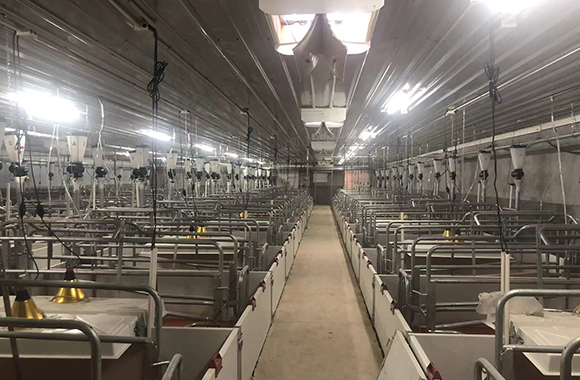 signal-amplifier-in-the-breeding-base-တပ်ဆင်ထားသည်။-ဧရိယာ-အချက်ပြ-လွှမ်းခြုံမှု