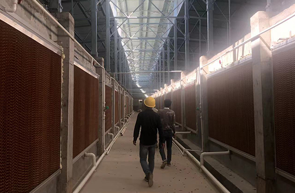 signal-amplifier-in-the-breeding-base-တပ်ဆင်ထားသည်။-ဧရိယာ-အချက်ပြ-လွှမ်းခြုံ-၀၁။